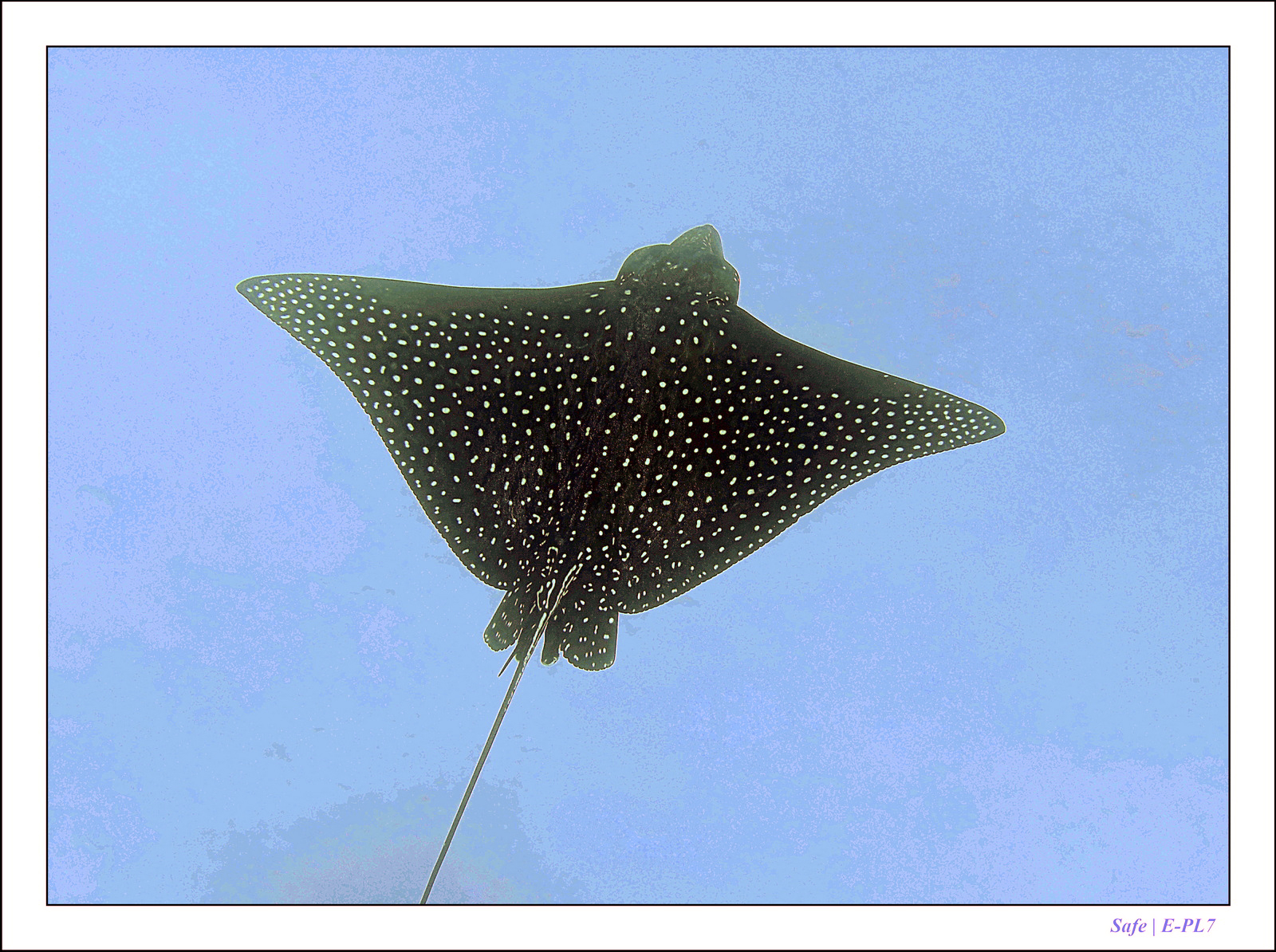 Hurghada - Juillet 2021 - 065